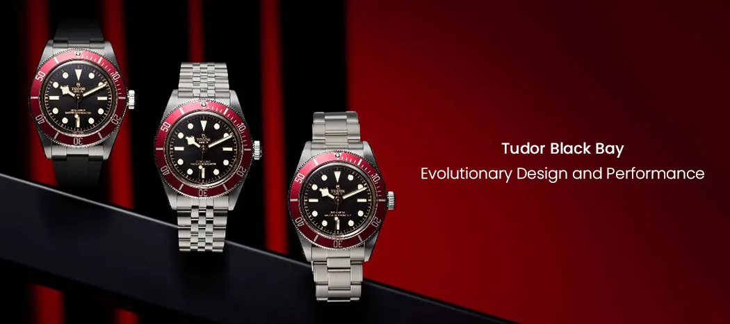 Tudor Black Bay watch